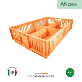 Caja para Pollitos con División Calada 63 X 42 X 15 cm