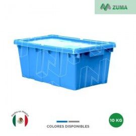 Caja Canadá C/Tapa 50 x 30 x 21 cm